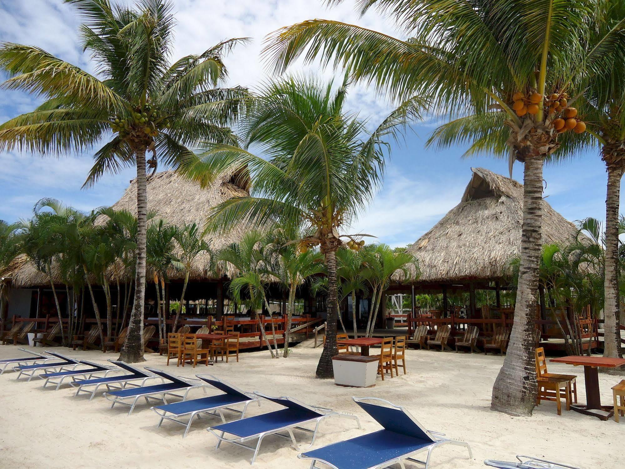 Dixon Cove Las Palmas Beach Hotel المظهر الخارجي الصورة